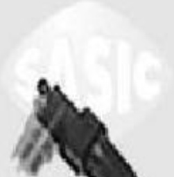 SASIC SWH0505 Radiator Hose for PEUGEOT