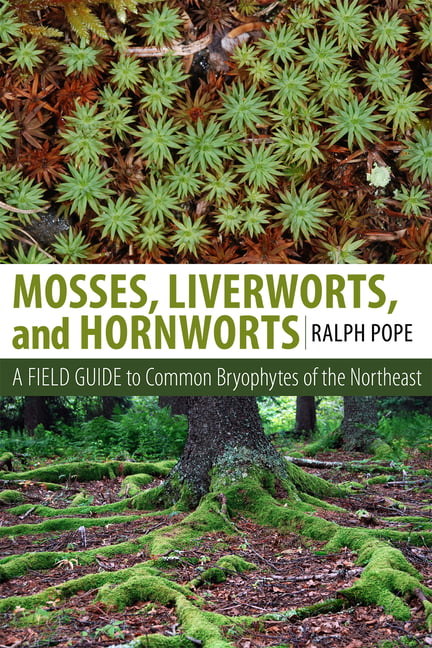 Mosses, Liverworts, and Hornworts by Ralph H. Pope - 9781501700781