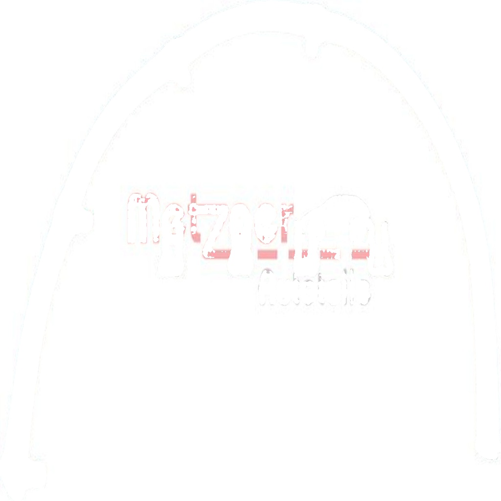 Original METZGER Hose Leak Fuel 0840004 for Fiat Lancia Opel