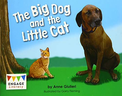 The Big Dog and the Little Cat by Anne Giulieri, Garry Fleming - 9781474772211