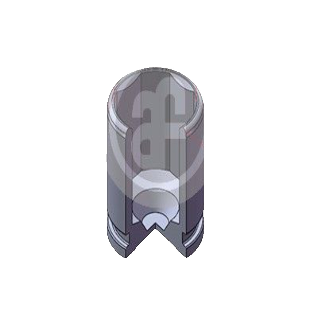 Rear AUTOFREN SEINSA D025603 Piston, brake caliper for AUDI,LAND ROVER,MERCEDES-