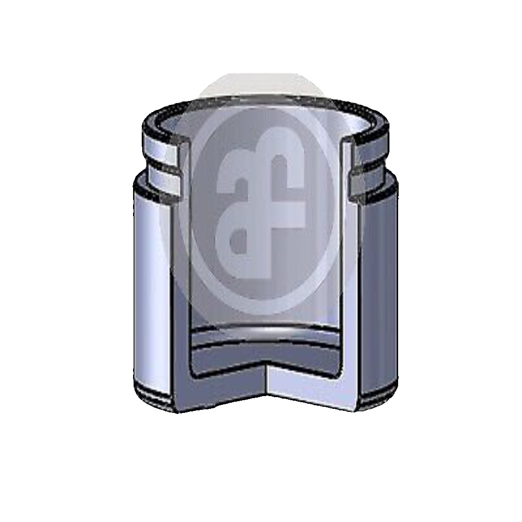 Fits AUTOFREN SEINSA D025437 CALIPER PISTON   ⭐UK Stock⭐