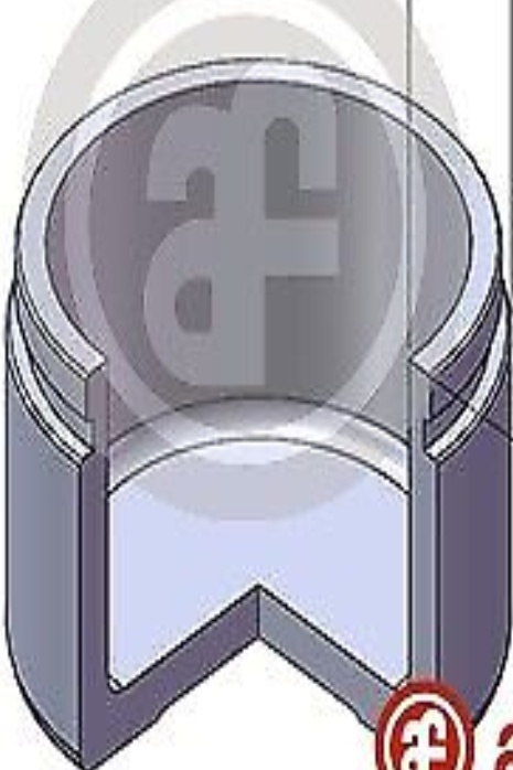 Fits AUTOFREN SEINSA D025779 PISTON   ⭐UK Stock⭐