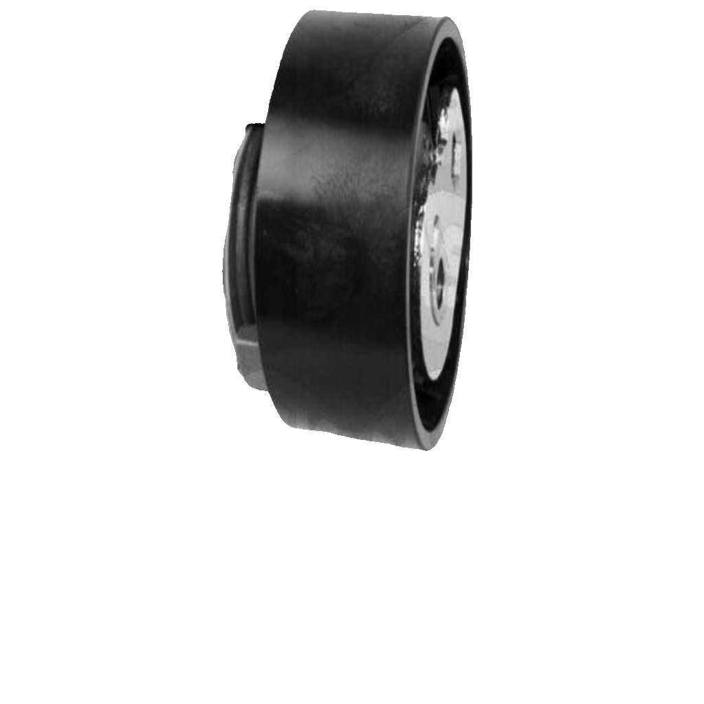 SASIC 1706031 Tensioner Pulley, timing belt for FIAT,IVECO