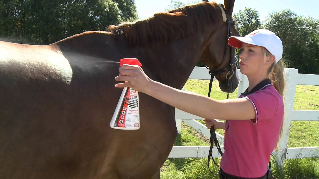 Leovet Power Phaser Fly & Insect Repellent Refill For Horses 2.5 litre