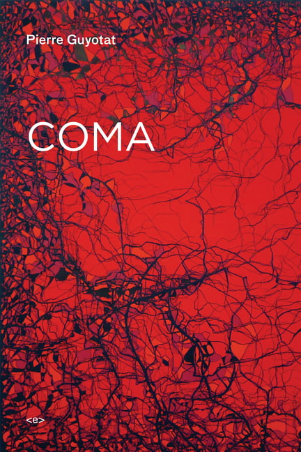 Coma by Pierre Guyotat, Gary Indiana, Noura Wedell - 9781584350897 - Image 6