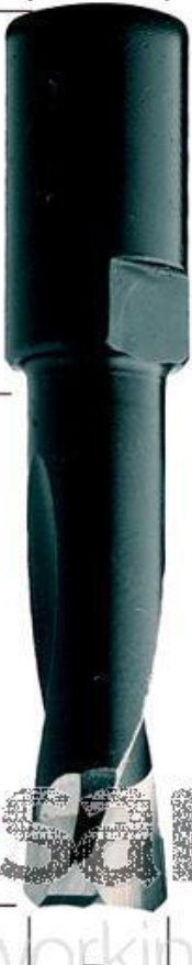 CMT 380 Festool Domino Router Bit l-11 L-38 D-4mm Price is Inc VAT@20%