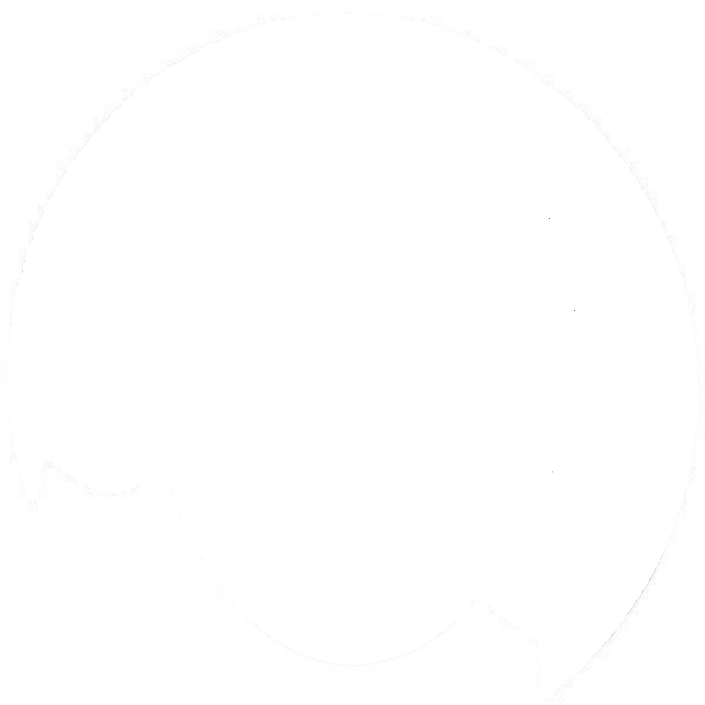 11334 A.B.S. Splash Panel, brake disc for MERCEDES-BENZ