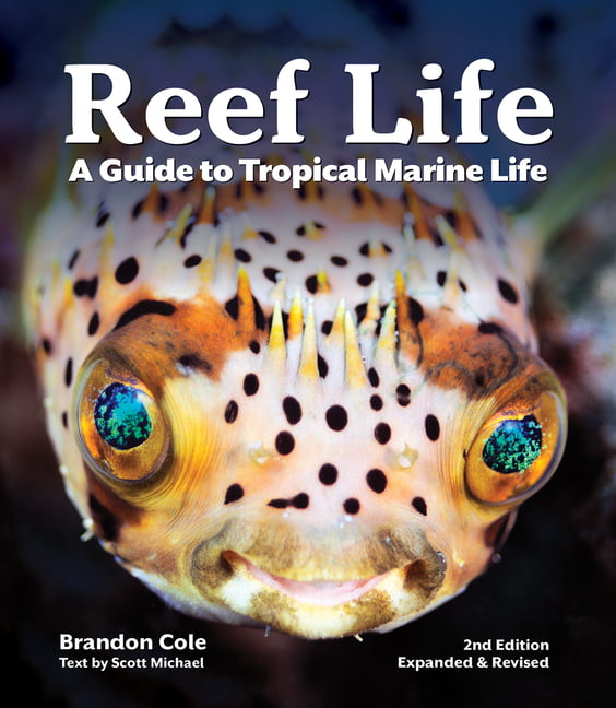 Reef Life: A Guide to Tropical Marine by Michael ScottBrandon Cole (PB 2020) - Image 3
