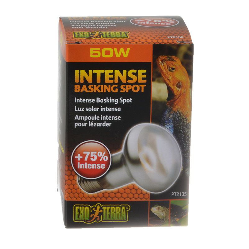 Exo Terra Silber Terrarienlampe Intense Basking Spot 50W - Image 2