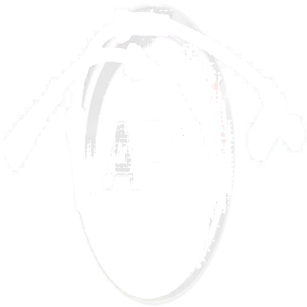 Original A.B.S. Sensor Wheel Speed 30301 for Renault