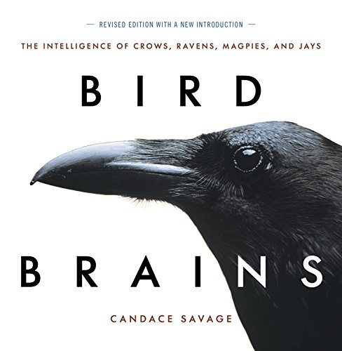 Bird Brains: The Intelligence of Crows, Ravens, Magpies, and Jays, Savage+- - Image 2