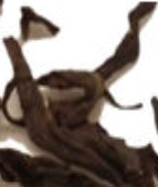 Organic Lapsang Souchong Tea 100g Black Speciality Loose Leaf