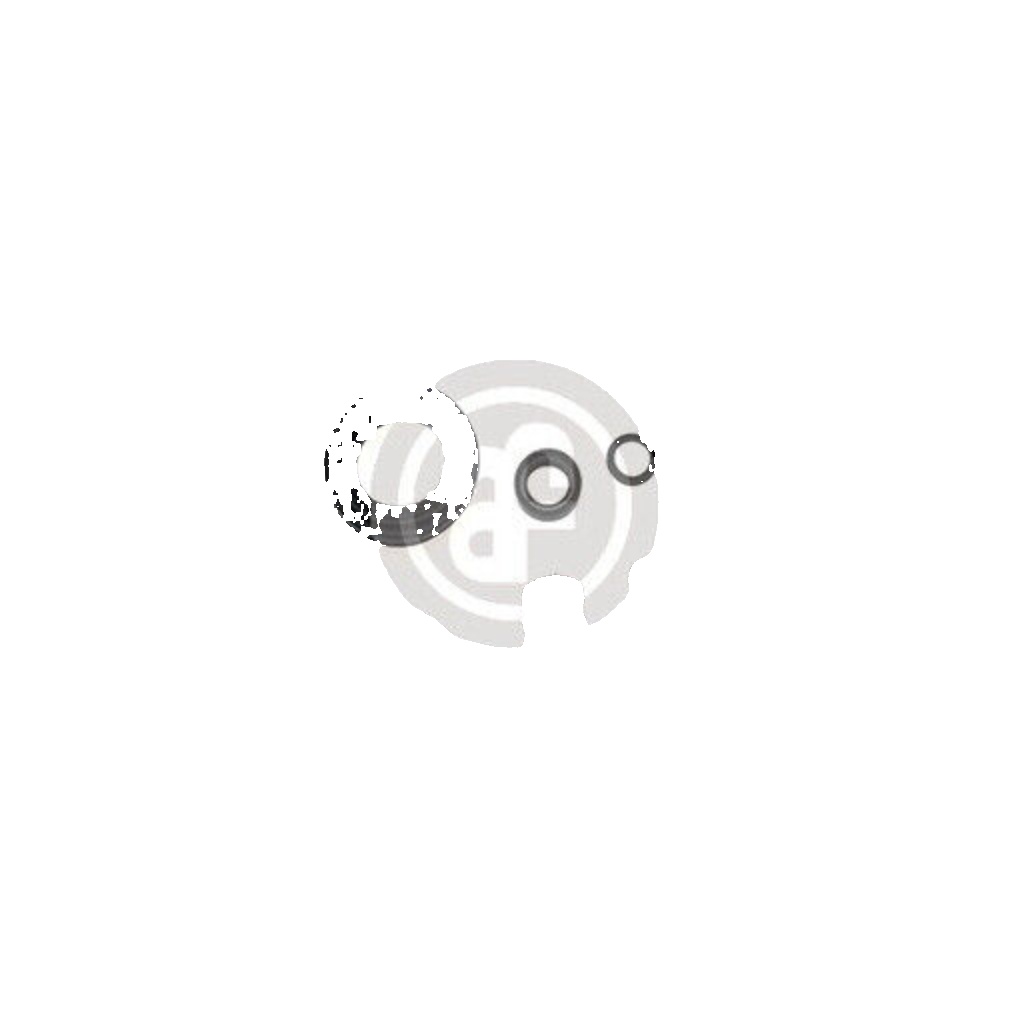 Rear AUTOFREN SEINSA D4098 Repair Kit, brake caliper for AUDI,FORD,HONDA,MG,RENA