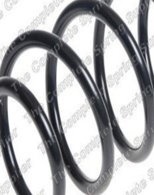 Fits LESJOFORS 4095115 COIL SPRINGS - Image 8