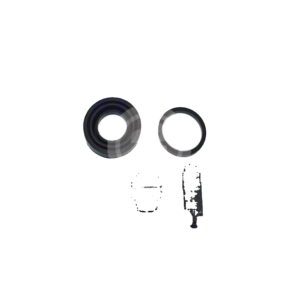 Rear AUTOFREN SEINSA D41841 Repair Kit, brake caliper for HYUNDAI
