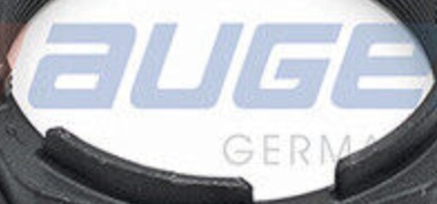 AUGER 81718 Nut, kingpin for SCANIA