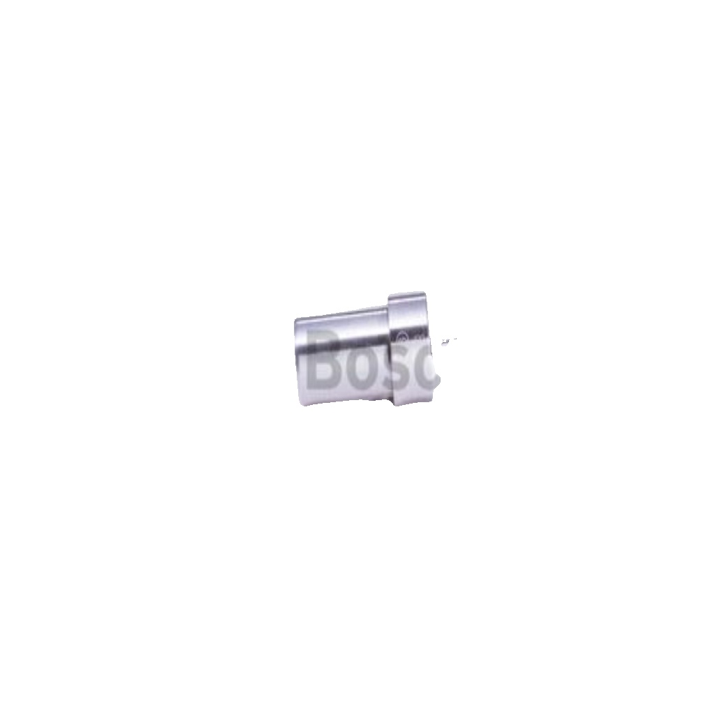0 434 250 103 BOSCH Injector Nozzle