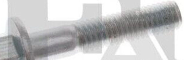 FA1 982-S06-030.10 Screw