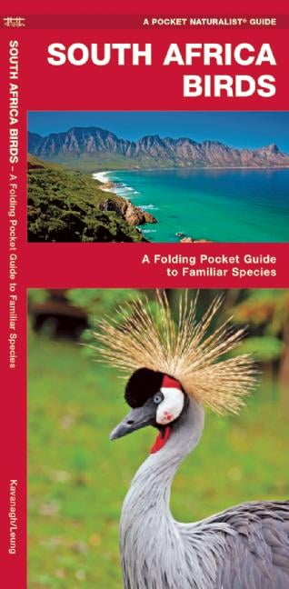 South Africa Birds by James Kavanagh (Pamphlet) - Image 5