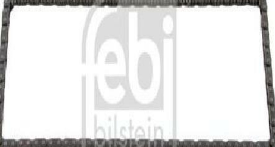 FERDINAND BILSTEIN 09364 Timing Chain for BMW