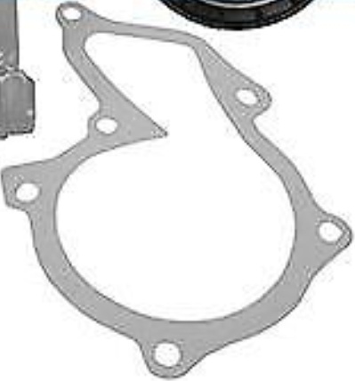 FOR FORD FIESTA MK5 V 1.25 1.4 16V DAYCO TIMING CAM/BELT WATERPUMP KIT OE SPEC