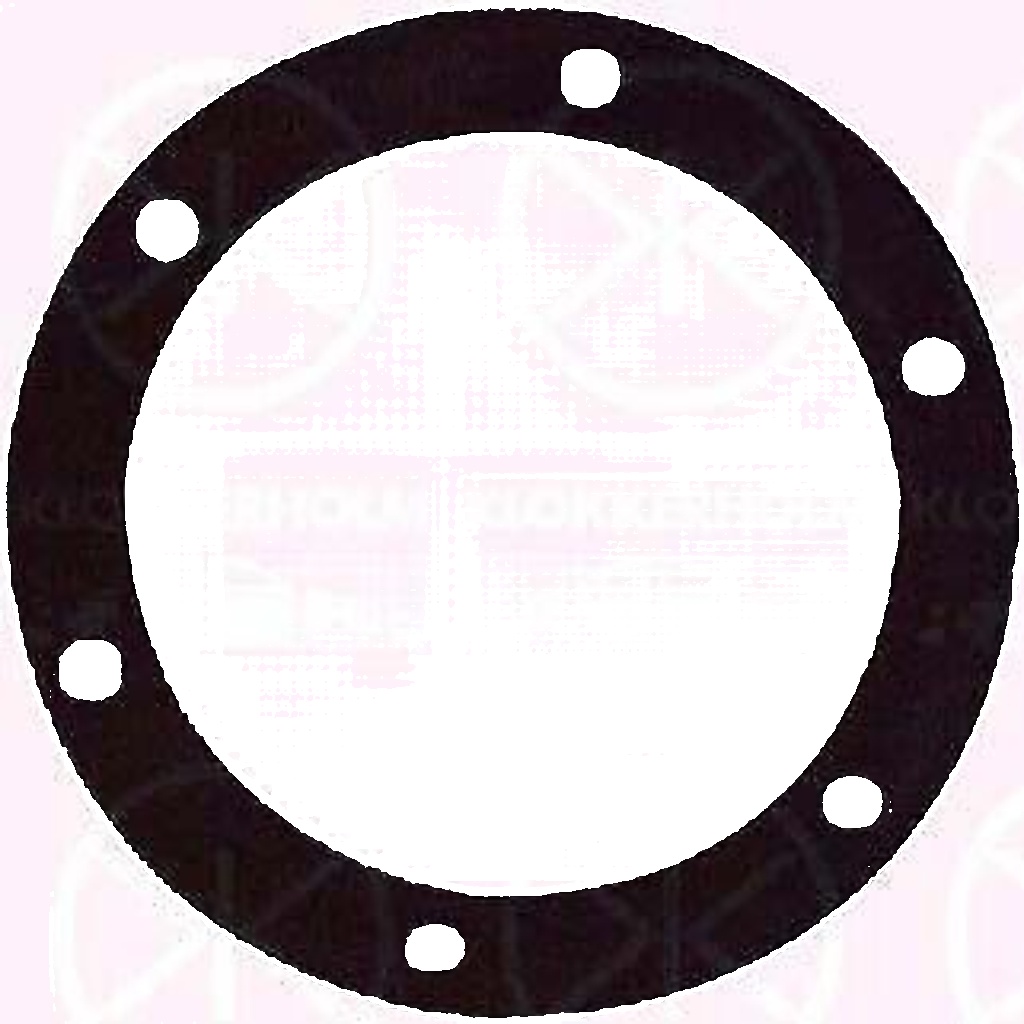 KLOKKERHOLM 50990097 Seal, fuel sender unit for OPEL,VAUXHALL
