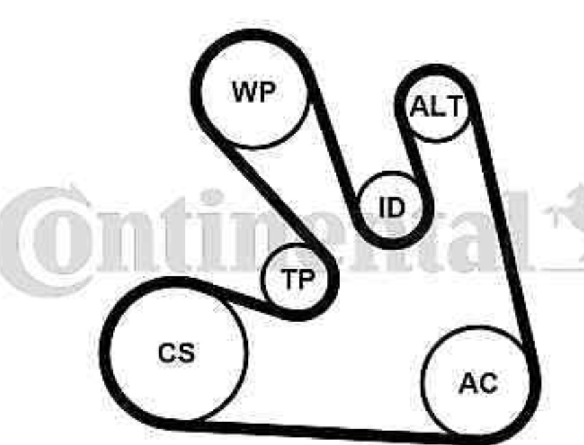 7PK1705K1 CONTINENTAL CTAM V-RIBBED BELT SET FOR NISSAN RENAULT