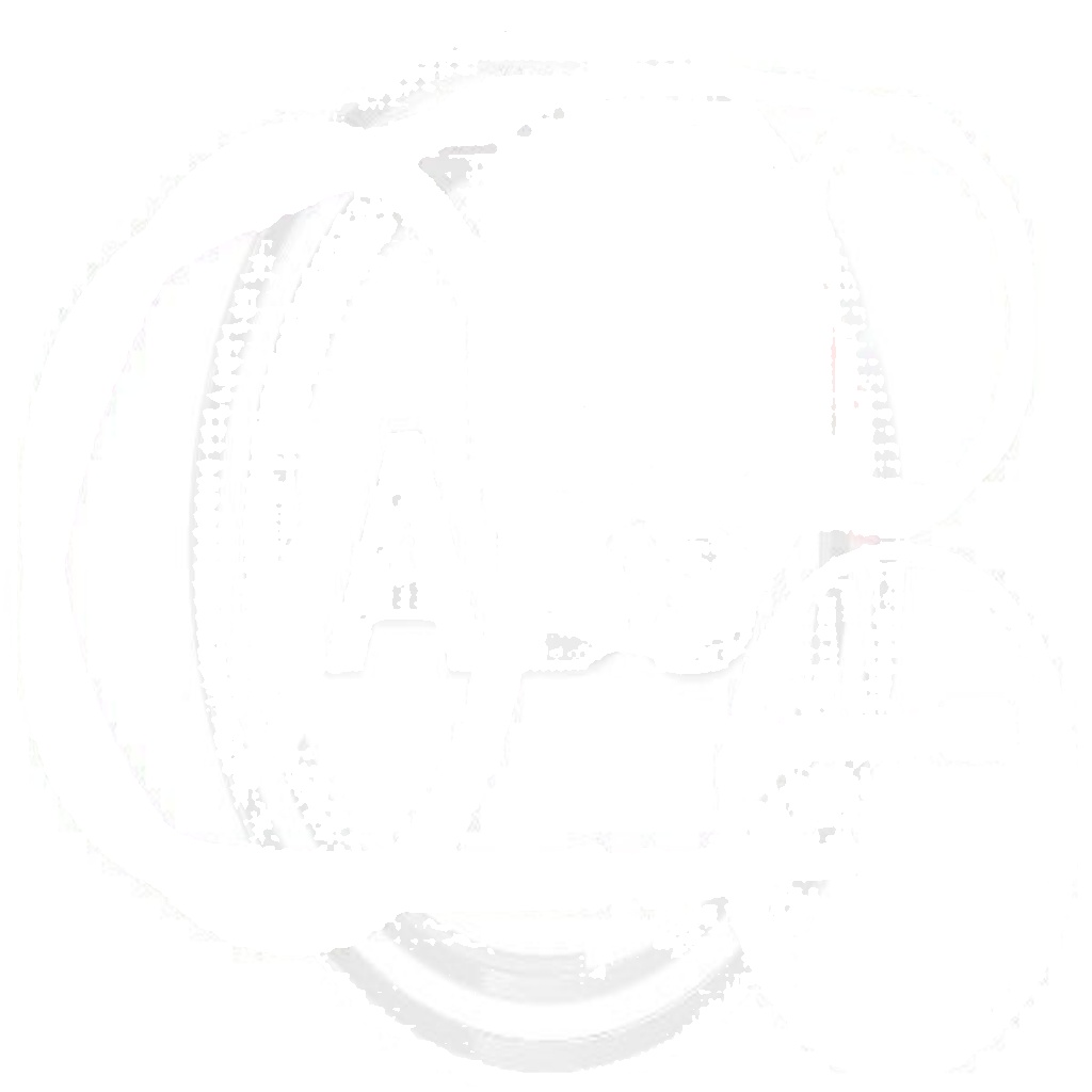 Original A.B.S. Cable Pull Parking Brake K13696 for Renault
