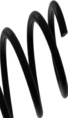 Rear FEBI BILSTEIN 39512 Coil Spring for BMW