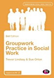 Groupwork Practice in Social Work (Transforming Social Work Practice Series) - Image 2