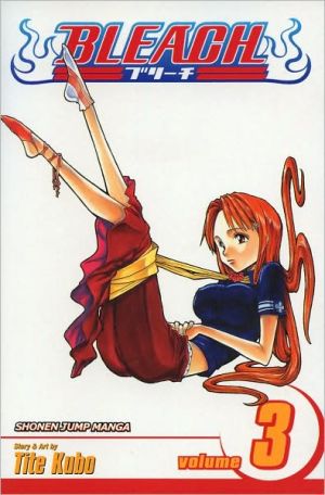 Bleach, Vol. 3 Volume 3