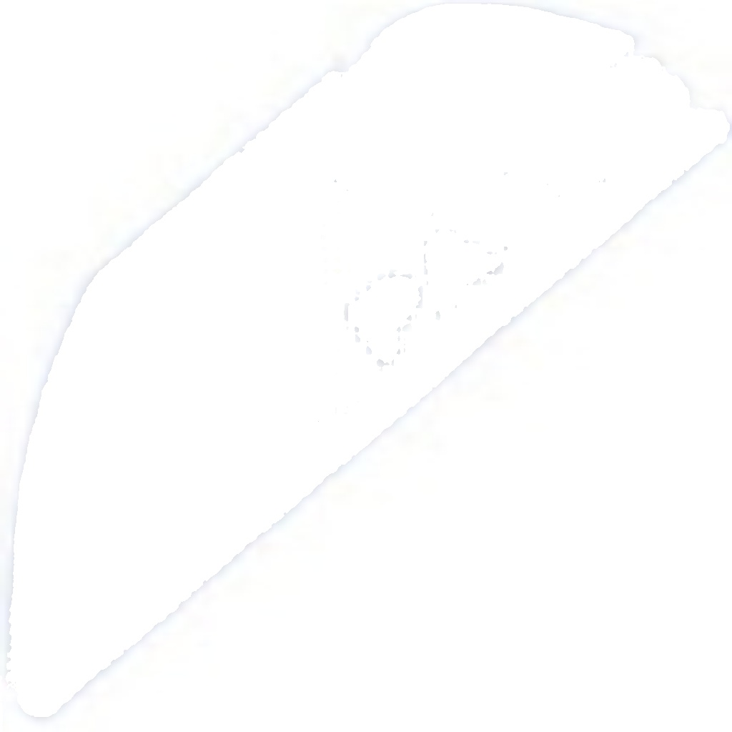 ECP-NS-024 NTY Sensor, camshaft position for NISSAN,RENAULT