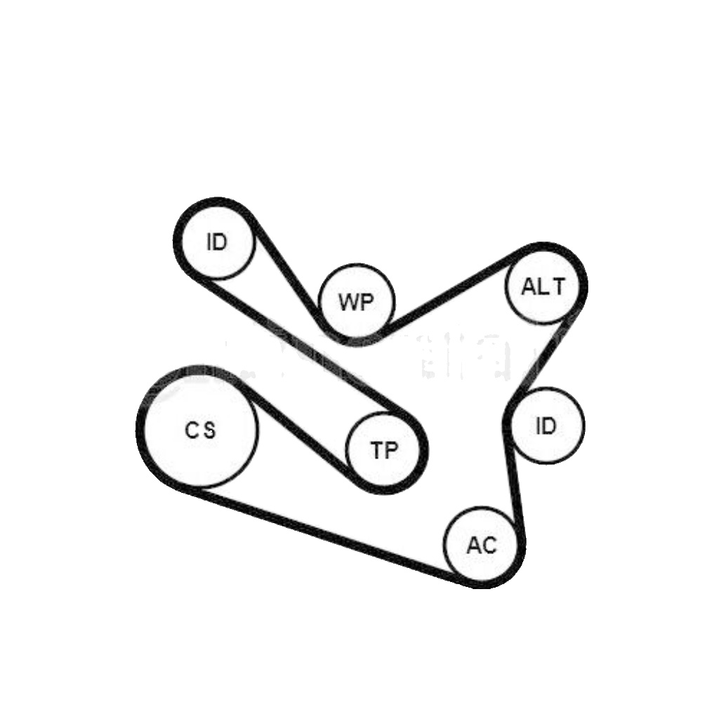 CONTINENTAL CTAM 7PK1570K1 V-Ribbed Belt Set for DACIA,NISSAN,RENAULT