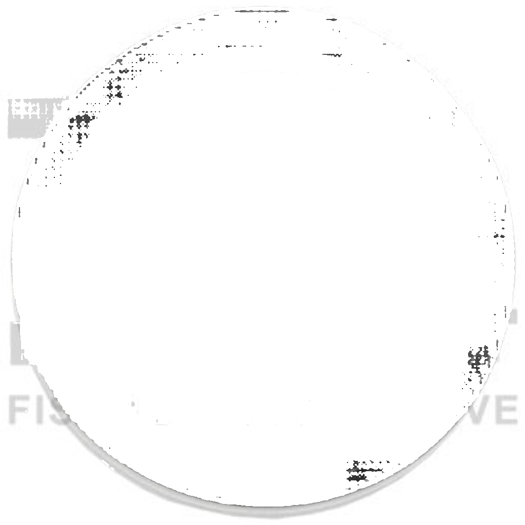 Fits FA1 FISCHER 121-936 MUFFLER RING, 37/45x6mm, CADILLAC BLS, OPEL  ⭐UK Stock⭐