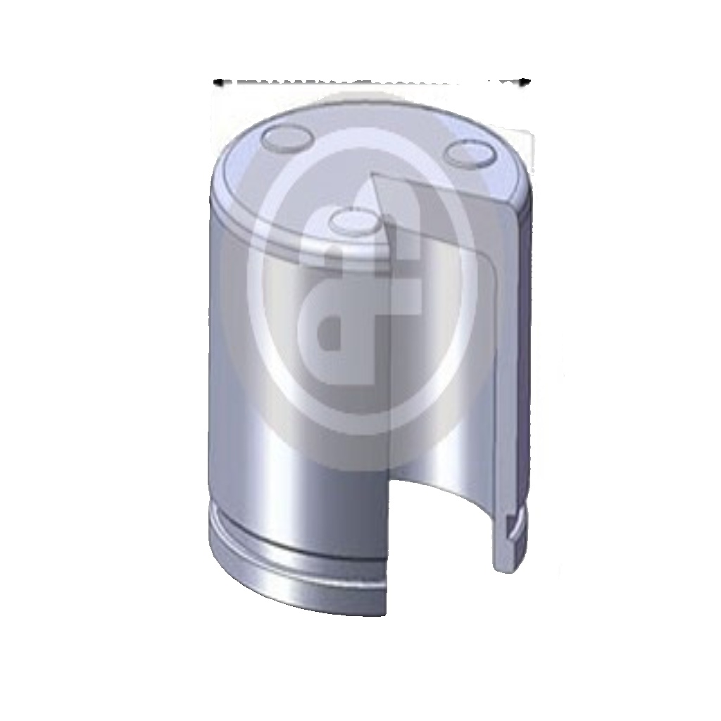 Front AUTOFREN SEINSA D02551 Piston, brake caliper for CITROËN,FORD,MAZDA,NISSAN