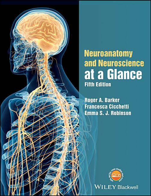 Neuroanatomy and Neuroscience at a Glance by Emma S. J. Robinson PAPERBACK - Image 5
