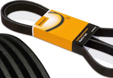 Original CONTINENTAL CTAM V-Ribbed Belt 5PK962 for Citroën Fiat Honda Lancia