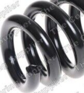 Suspension Coil Spring Front Long Life Fits Toyota Hilux Vigo ROC CS7646