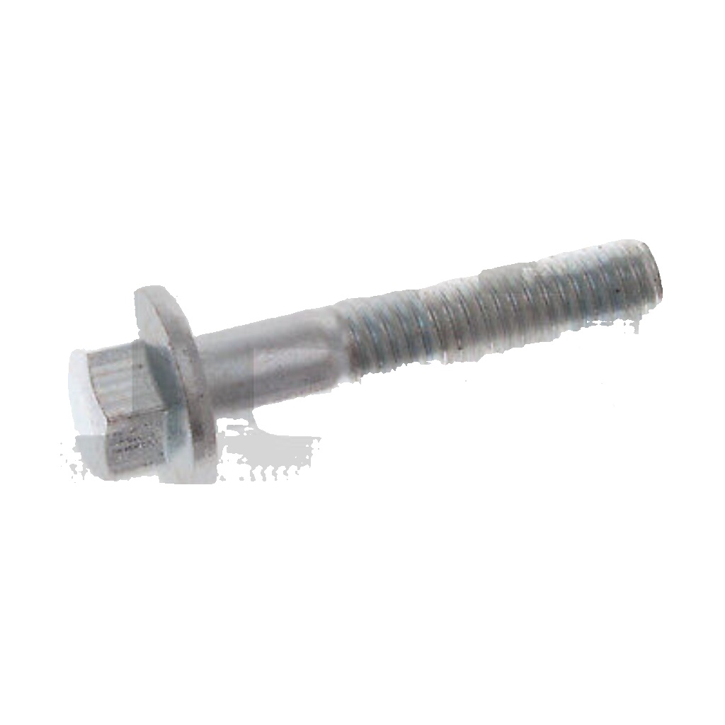 982-S06-030.10 FA1 Screw