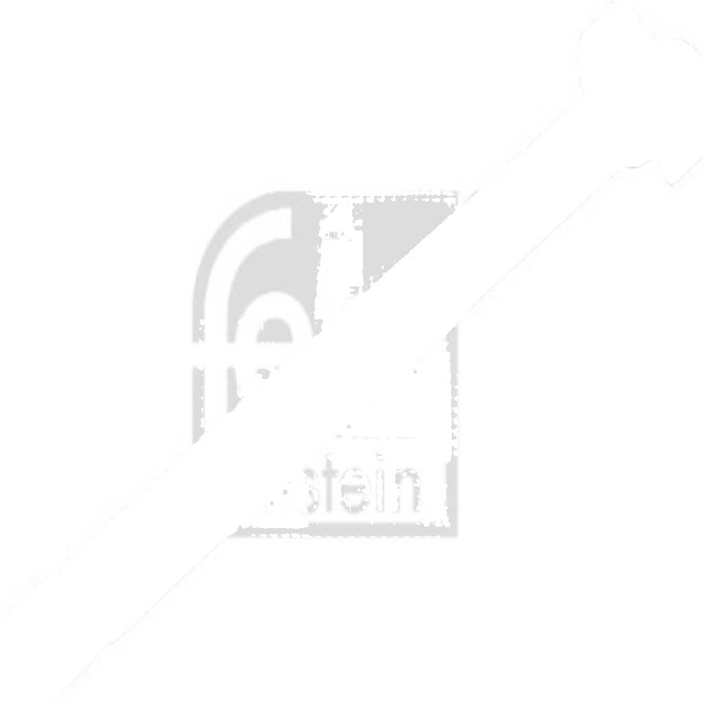 FEBI 07073 BRAKE SHAFT DRUM BRAKE Front LH,Rear LH
