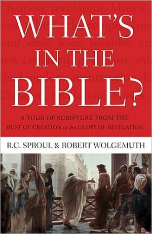 What's In the Bible by R.C. Sproul, Robert Wolgemuth - 9781418545987