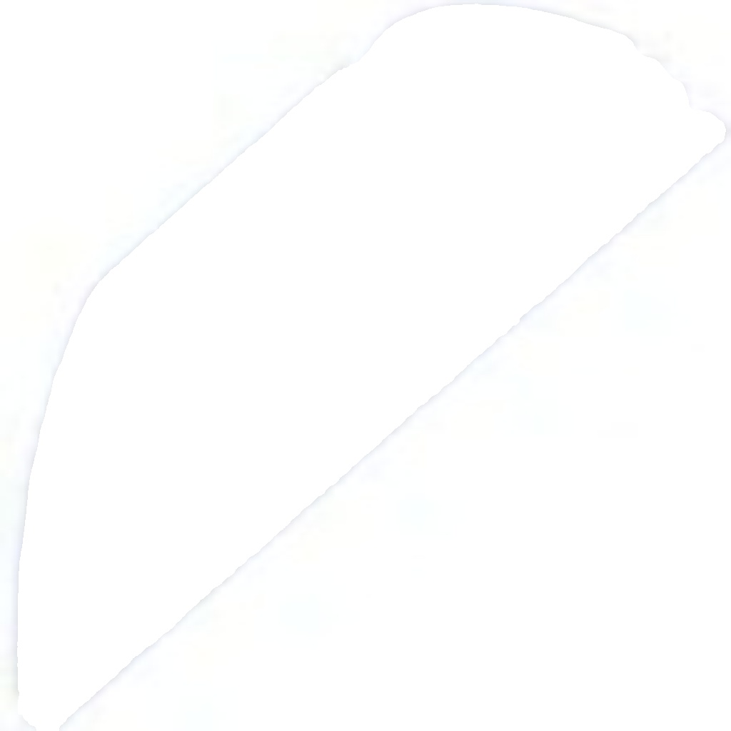 N.T.Y. EDS-VW-019.NTY Washer Fluid Jet, headlight cleaning for VW