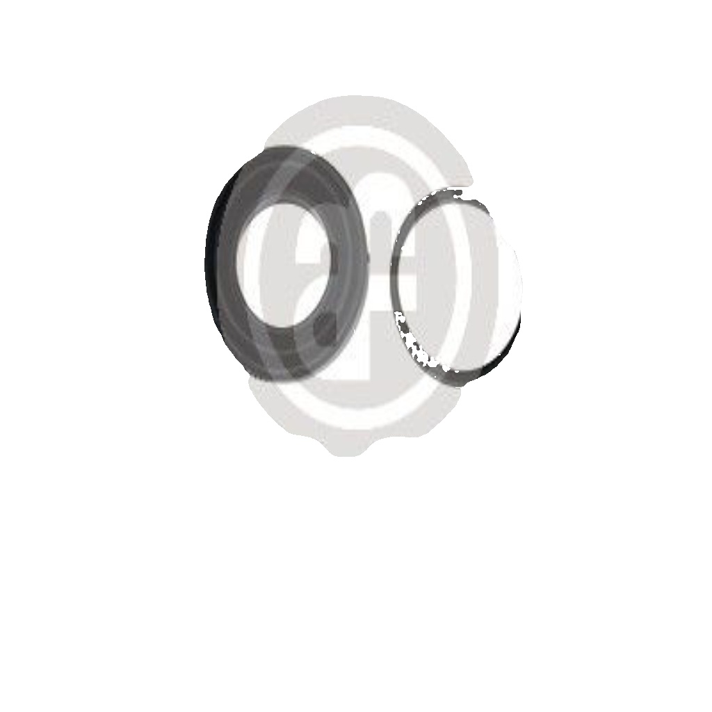 Rear AUTOFREN SEINSA D42254 Repair Kit, brake caliper for SUBARU
