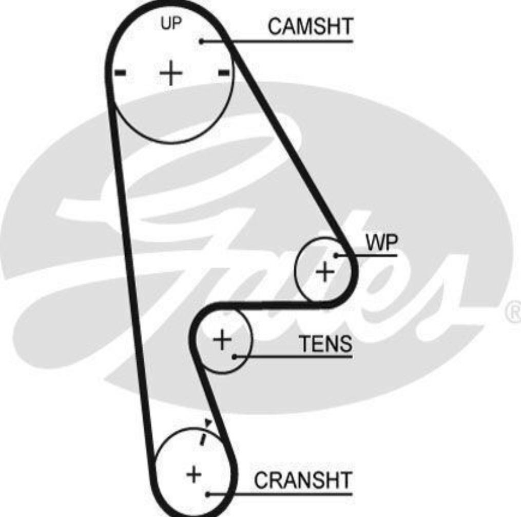 GATES 5409XS Timing Belt for HONDA