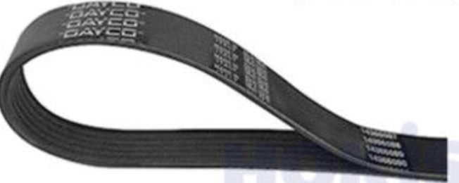 5PK595EE DAYCO V-Ribbed Belt for ALFA ROMEO,FIAT