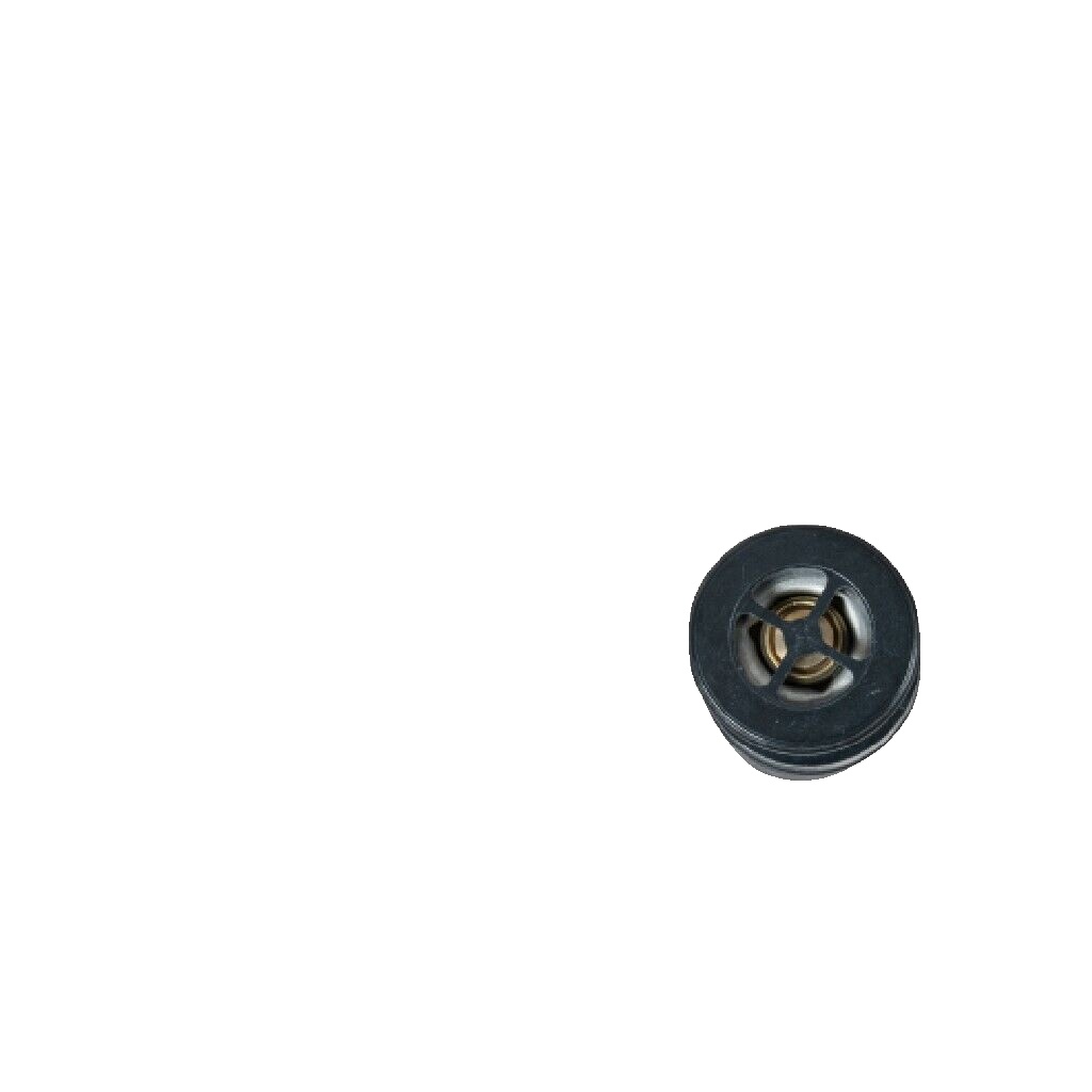 GATES-OE TH61580 Thermostat, oil cooling for BMW