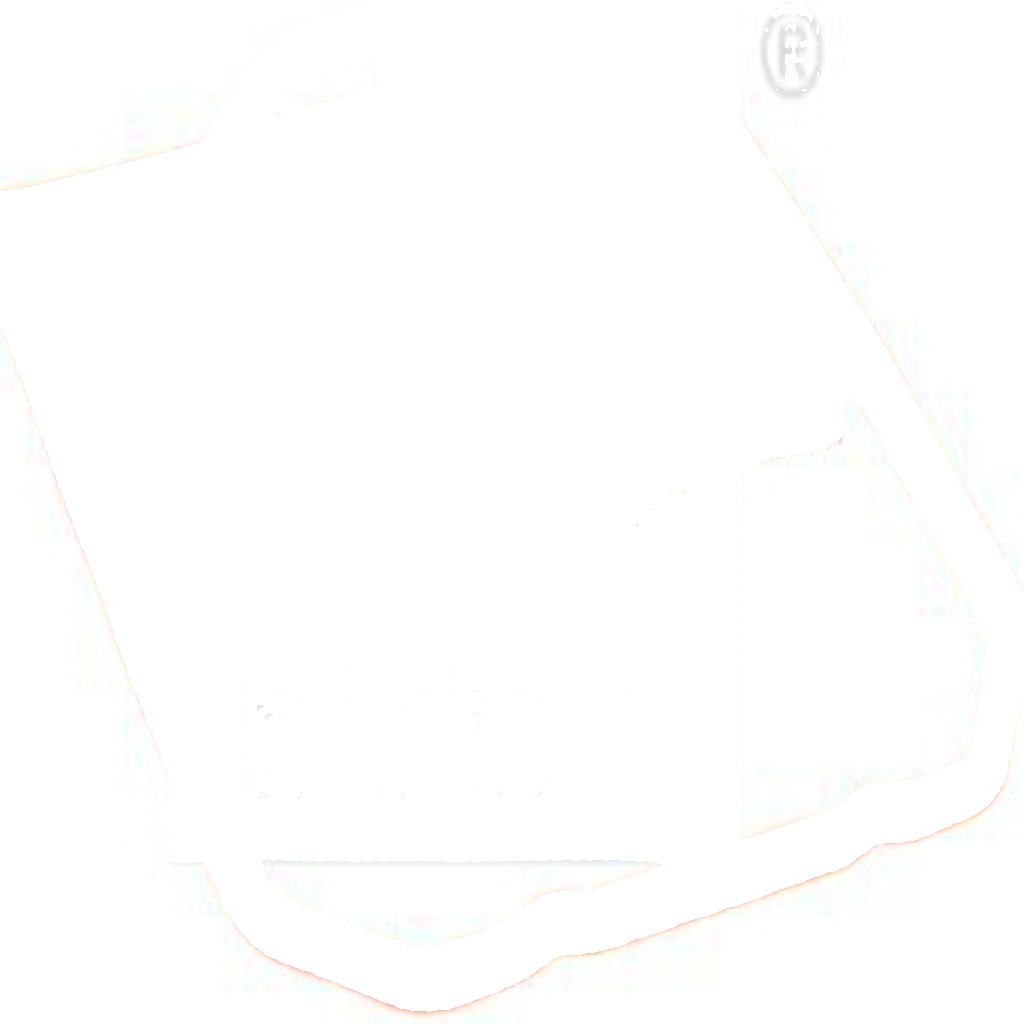 FEBI GERMANY 104796 Air Filter for SEAT,VW