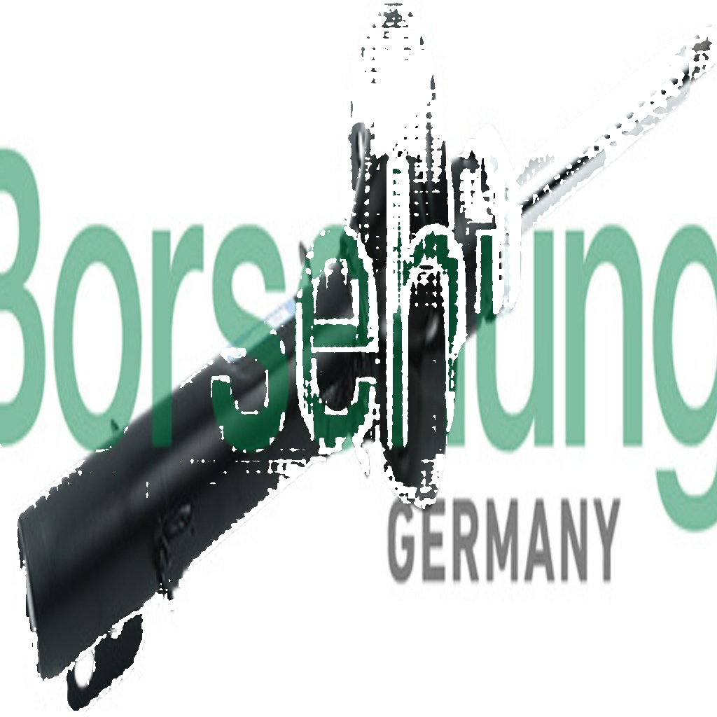 Shock absorber Front Axle Top pin B12134 Borsehung for SKODA VW SEAT