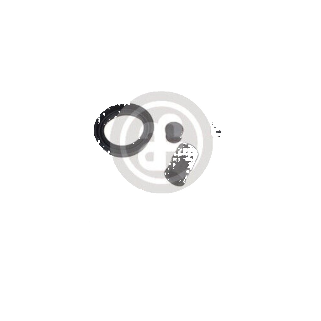 ✅Fits AUTOFREN SEINSA D4-1637 Disc brake caliper repair kit D4-1637  ⭐UK Seller⭐